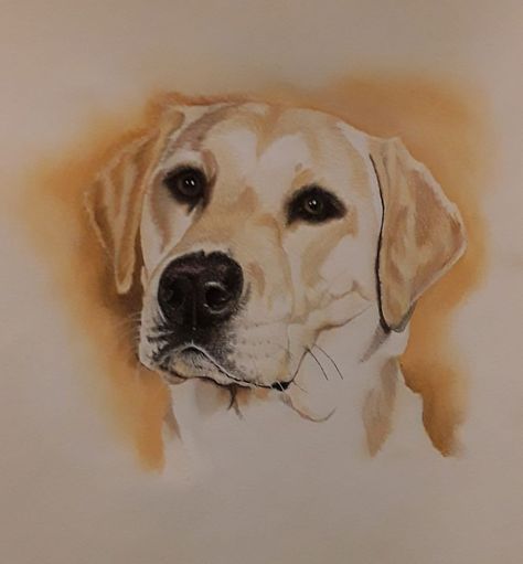 Yellow Lab Drawing Easy, Labrador Watercolor Painting, Yellow Lab Tattoo Ideas, Labrador Painting Easy, Yellow Lab Tattoo, Lab Dog Drawing, Yellow Lab Drawing, Lab Sketch, Yellow Lab Painting