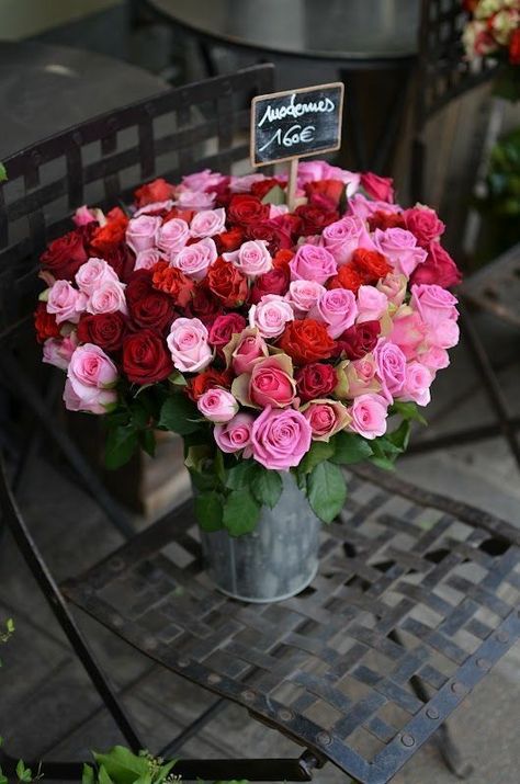 It's a beautiful world Colorful Roses, Trendy Flowers, Love Rose, Pink And Red, Beautiful Blooms, Love Flowers, Dating Site, San Valentino, My Flower