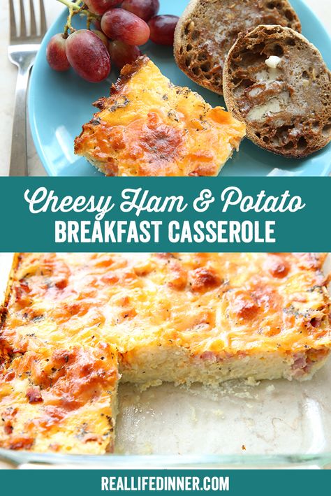 Cheesy Ham and Potato Breakfast Casserole ~ https://reallifedinner.com Ham And Potato Breakfast Casserole, Simply Potatoes Recipes, Seasoned Eggs, Potato Egg Bake, Potato Egg Casserole, Ham And Egg Casserole, Potato Breakfast Casserole, Potato And Egg Breakfast, Cheesy Breakfast Casserole