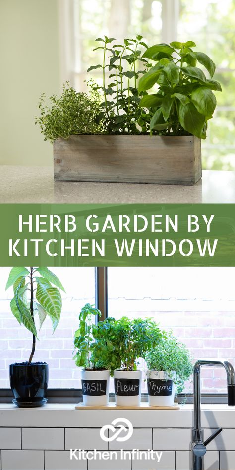 Having a herb garden by kitchen window gives you control over environmental conditions and low maintenance. You can grow perennial herbs that thrive all year round, or hanging herbs that need no extra light Kitchen Window Herb Garden, Window Sill Herb Garden, Herbs For Cooking, Growing Herbs In Pots, Windowsill Herb Garden, Vertical Herb Gardens, Window Herb Garden, Grow Basil, Herb Garden Pots