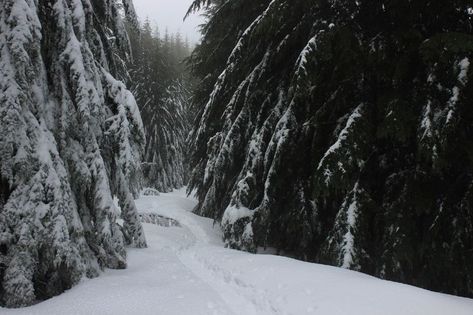 Snow Tundra Aesthetic, Ravine Aesthetic, Snow Widget, Tundra Aesthetic, Ice Climber, Creepy Places, Aesthetic Winter, Winter Magic, Chronicles Of Narnia