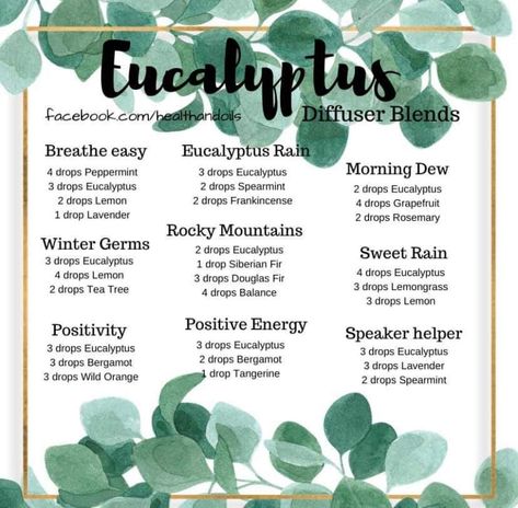 Eucalyptus Diffuser Blends Young Living, Eucalyptus Mint Essential Oil Blend, Eucalyptus Essential Oil Blends, Rain Essential Oil Blend, Essential Oil Combos, Diffuser Blends Young Living, Diffuser Scents, Room Spray Recipe, Eo Blends