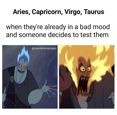 Capricorn X Virgo, Funny Virgo Quotes, Virgo Emotions, Virgo Things, Virgo Energy, Taurus Memes, Virgo Memes, Aries Zodiac Facts, Virgo Traits