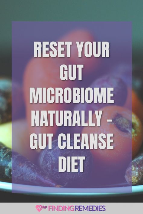 Reset Your Gut Microbiome Naturally - Gut Cleanse Diet Foods To Fix Your Gut, Fix Gut Health Diet, Health Gut Diet, Reset Your Gut Cleanse, Resetting Your Gut, Heal My Gut Diet, Cleanses For Gut Health, Gut Reset Diet Plan, Best Things For Gut Health