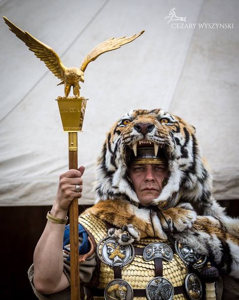 Roman social engineering at work: an aqvilifer (the most important standard bearer) with a sacred aqvila intending to boost legionaries' morale and their identification with the unit, in a fearsome Panthera tigris' pelt to intimidate enemies. Legio XXI Rapax. Roman Aquilifer, Imperiul Roman, Roman Armor, Social Engineering, Roman Centurion, Panthera Tigris, Roman Warriors, Roman Legion, Ancient Warfare