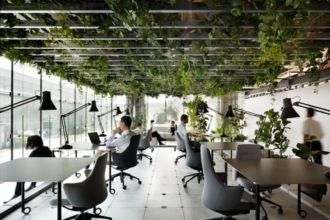 Gallery of Biophilic Offices: Landscape and the Working Environment - 3 Innovation Center, Office Lobby, Innovation Lab, Schematic Design, Green Office, Innovation Centre, Work Environment, Office Interior Design, Yokohama