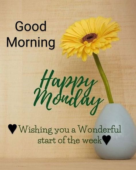 Monday Morning Wishes, Happy Monday Images, Monday Greetings, Happy Monday Quotes, Happy Monday Morning, Daily Wishes, Monday Morning Quotes, Lovely Good Morning Images, Happy Day Quotes