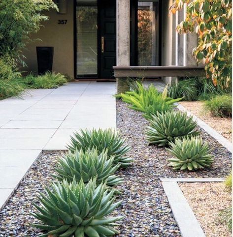 Top 70 Best Desert Landscaping Ideas - Drought Tolerant Plants Desert Landscape Front Yard, Garden Design Pictures, Low Maintenance Garden Design, Succulent Landscape Design, نباتات منزلية, Drought Tolerant Landscape, Front Yard Design, Dry Garden, Front Yard Landscaping Simple