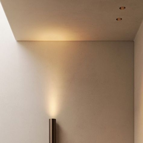 Modular Lighting Instruments on Instagram: "NUDE x MINUDE RECESSED TRIMLESS — Brushed Anodised Bronze. A neutral colour that sets the tone, or an accent colour for a contrasting touch? Bronze can be your everything. A metal rich in texture and energy, its colour warm and timeless. — #supermodular #modularlightinginstruments #nude #minude #architecturallighting #designlighting #lightingdesign #productdesign #madnessfordetail #details #lightingiseverything #walllighting #ceilinglighting #interior Trimless Recessed Lighting, Modular Lighting, Can Light, Light Architecture, Recessed Lighting, Accent Colors, Guatemala, Neutral Colors, Lighting Design