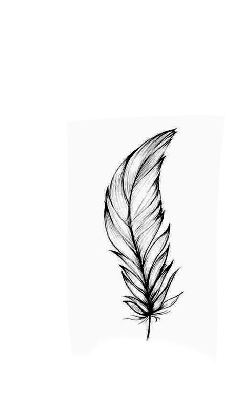 Feather Tattoo Stencil, Feather Sketch, Feather Drawing, Stencil Outline, Feather Tattoo Design, Tattoo Stencil Outline, Feather Tattoo, Tattoo Stencil, Feather Tattoos