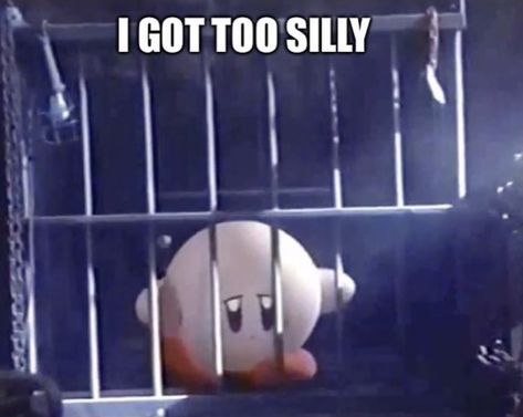 Oh The Misery Cat, I Got Too Silly, Got Too Silly, Too Silly, Kirby Memes, A Mansion, Kirby Art, Silly Images, Very Funny Pictures