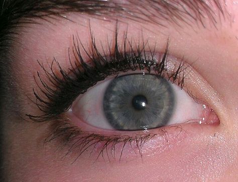 Grey/blue/green eyes. & some long eye lashes :) Dark Blue Green Eyes, Green Grey Eyes, Nadia Aesthetic, Light Grey Eyes, Blue Hazel Eyes, Grey Blue Eyes, Blue Grey Eyes, Natalie Manning, Grey Green Eyes