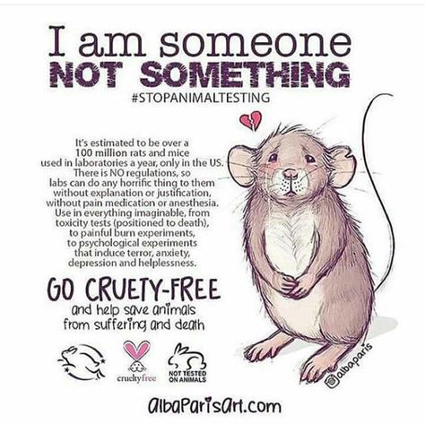 Animal Cruelty Quotes, Stop Animal Testing, Vegan Facts, Animal Experiences, Animal Activism, Animal Activist, Vegan Quotes, Why Vegan, Animal Liberation