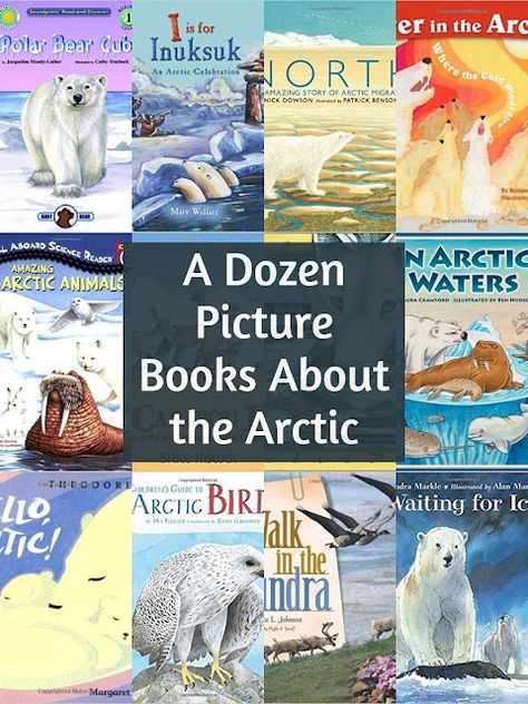 A Dozen Books for Teaching Kids About the Arctic Habitats Preschool, Animal Habitats Preschool, Polar Bear Facts, Arctic Habitat, Daycare Themes, Baby Play Activities, Kindergarten Books, Fashion Crafts, Animal Book