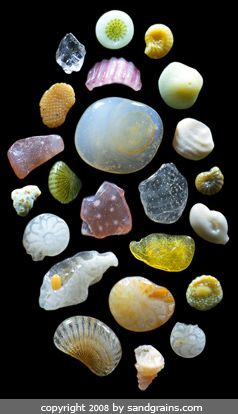 The incredible beauty of sand grains from a thimble-full of sand from a single beach near Lahaina, Maui ~ microphotography by Dr. Gary Greenberg  #beach #sand #Maui #sea #ocean #photography Sand Under Microscope, Under Microscope, Microscopic Photography, Micro Photography, Microscopic Images, Microscopes, Grain Of Sand, Things Under A Microscope, Rocks And Gems