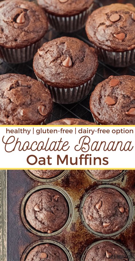 Banana Dairy Free Recipes, Chocolate Oat Flour Muffins, Protein Muffins With Oat Flour, Gluten Free Muffins Oat Flour, Vegan Chocolate Protein Muffins, Oat Flour Healthy Recipes, Protein Banana Chocolate Muffins, Gf Banana Oat Muffins, Applesauce Sweetened Muffins