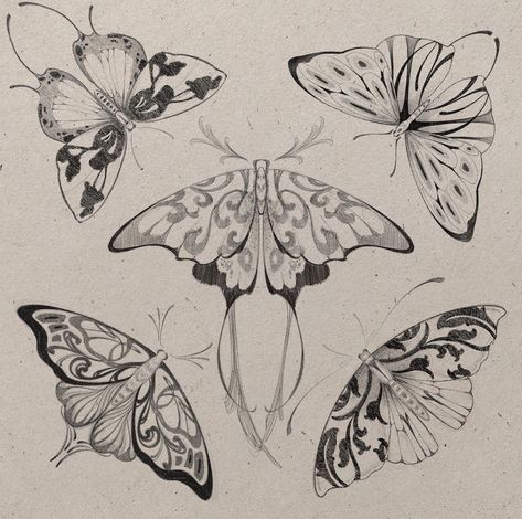 Neotraditional Butterfly Tattoo Design, Art Nouveau Insects, Art Nouveau Animals Illustration, Art Nouveau Butterfly, Art Deco Butterfly, Butterfly Sketch, Ornamental Tattoo, Tattoo Portfolio, Butterfly Drawing