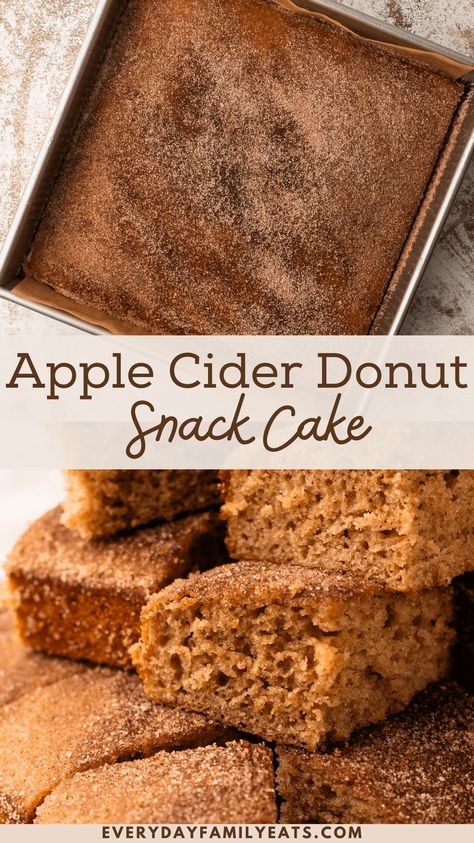 Apple Cinnamon Snack Cake, Baked Apple Cider Donuts With Cinnamon Maple Glaze, Apple Cider Donut Bars, Apple Cider Sheet Cake, Apple Cider Desserts Easy, Apple Cider Recipes Desserts Easy, Apple Cider Cake Mix Recipes, Apple Cider Cake Donuts Recipe, Apple Pound Cake Recipes Moist