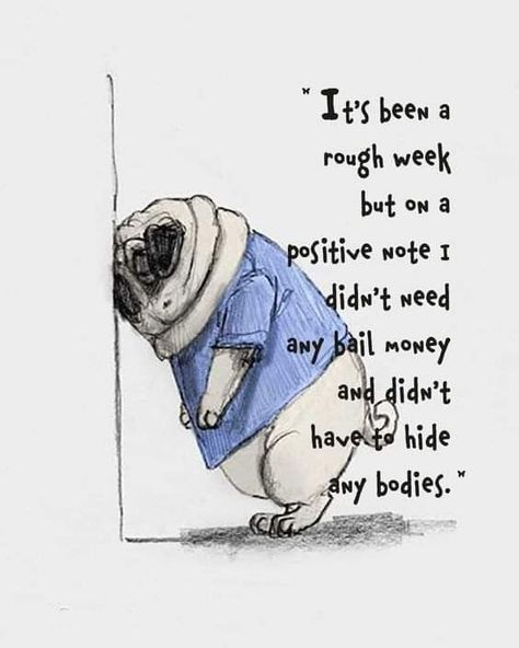 It's been a rough week but on a positive note I didn't need any bail money and didn't have to hide any bodies. Bail Money, Rough Week, All Types Of Dogs, Smile Images, Toy Dogs, Pugs And Kisses, Dog Attack, Dog Jokes, Pug Art