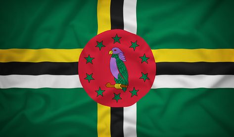 Dominica Flag, National Flags, Purple Dye, The Color Purple, Purple Feather, Sea Snail, The White Stripes, Violet Color, Five Pointed Star