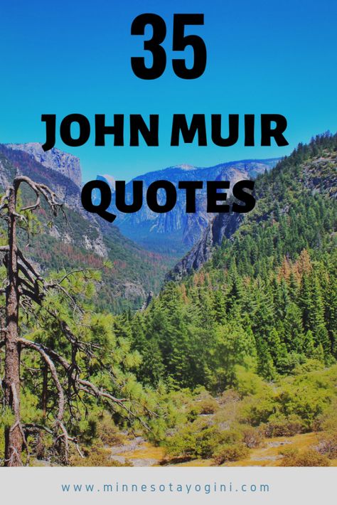 Minnesota Yogini - 35 Inspiring John Muir Quotes - Minnesota Yogini Quotes About Outdoors Nature, Cabin Quotes, Trails Quotes, John Muir Quotes Nature, Cabin Quote, John Muir Laws Nature Journaling, River Quotes Inspirational, In Every Walk With Nature John Muir, John Muir Laws