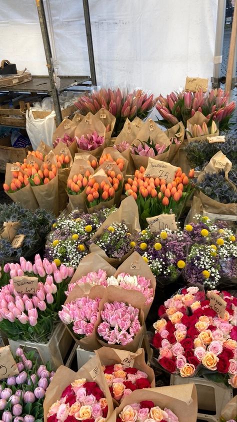 Copenhagen Spring, Copenhagen Summer Aesthetic, Copenhagen Aesthetic Summer, Copenhagen Travel Aesthetic, Copenhagen Denmark Aesthetic Winter, Flower Market Copenhagen, Copenhagen Denmark Aesthetic, Copenhagen Denmark Photography, Denmark Aesthetic