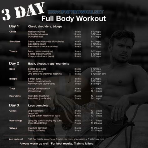 3 Day Full Body Workout, 3 Day Workout, Weight Training Plan, Full Body Workout Plan, Workout Plan For Men, Full Body Workout Routine, Workout Splits, Lifting Workouts, Weight Lifting Workouts