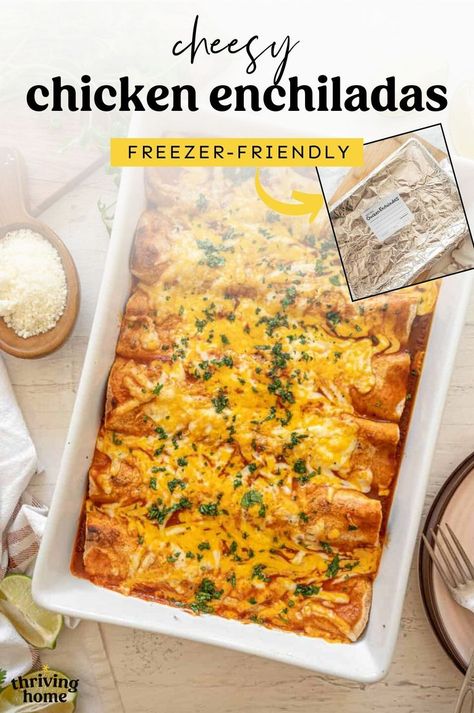 Cheesy Chicken Enchiladas in a skillet. Tex Mex Casserole, Easy Cheesy Chicken, Soft Tortillas, Chicken Enchiladas Recipe, Cheesy Chicken Enchiladas, Black Bean Enchiladas, Healthy Freezer Meals, Enchiladas Recipe, Red Enchilada Sauce