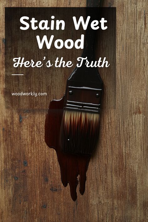 Wondering if you can stain wet wood? Learn why dry wood works best, and get tips on achieving an even, lasting stain. Click for expert insights! #WoodStaining #WoodFinishing #DIYProjects #Woodworking #HomeImprovement Diy Wood Stain, Wood Finishing, Paint Wood, Water Based Stain, Wood Works, Green Wood, Wood Stain, Wood Surface, Mold And Mildew