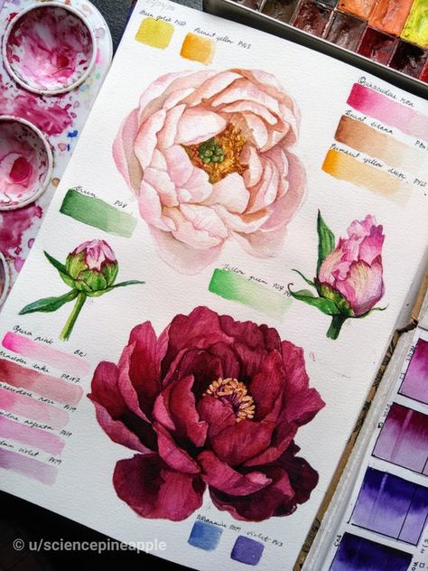 Botanical Sketchbook, Gcse Art Sketchbook, A Level Art Sketchbook, Watercolor Flower Art, 수채화 그림, Watercolor Art Lessons, Arte Sketchbook, A Level Art, Sketchbook Inspiration