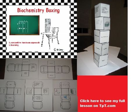 Biomolecules review Boxing Collage, Biology Teaching, Life Science Activities, Biology Resources, Middle School Activities, Biology Classroom, High School Biology, Ap Biology, Biology Teacher