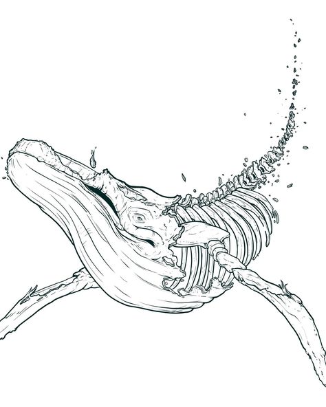 The final whale fall piece is almost ready to share. I might have some prints prepared for Seedy Saturday & Sunday this weekend, but we'll see. At the very least, I need to spell-check everything. ⁠ I'm better at making art than I am words. ⁠ ⁠ In the meantime, here is the line art for the whale remains. This is the beginning layer of the whole piece. All the critters, colours and shapes interact with the whale somehow. ⁠ ⁠ #whalefall #huimpbackwhale #humpback #whaleskeleton #oceanlife #oce... Whale Skeleton Drawing, Whale Line Drawing, Humpback Whale Drawing, Am Words, Whale Fall, Humpback Whale Tattoo, Whale Sketch, Whale Shark Tattoo, Whale Skeleton