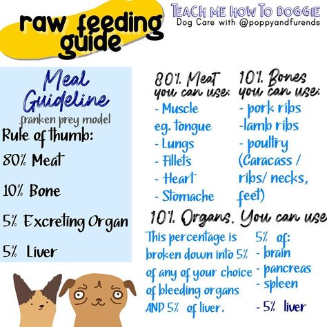 Poppy And Furends on Instagram: “What do you guys feed your furbaby?? Simba is on a Raw Feeding Plan 💁🏽‍♀️ #rawfeeding #pitbull #poppyandfurends #mealguideline…” Lamb Ribs, Rule Of Thumb, Dog Care, Pitbull, Fur Babies, Meal Planning, Poppies, How To Plan, Dogs