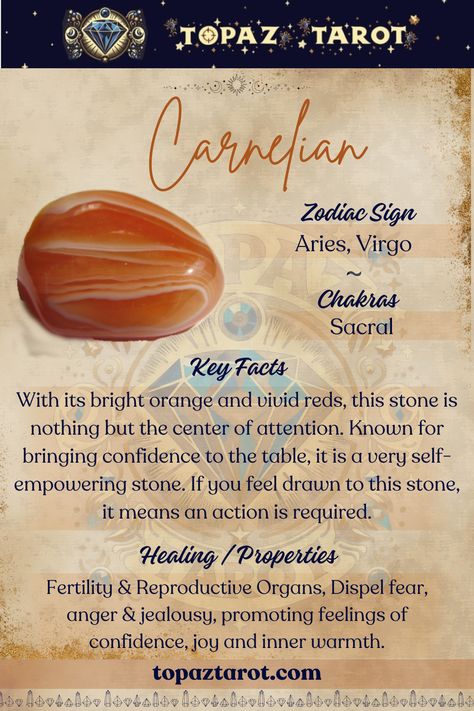 channel the warm embrace of Carnelian 🌟 Harness its vibrant energy to ignite courage, creativity and vitality within. Let this fiery gemstone be your daily reminder to embrace life with passion and purpose. #thetopaztarot #topaztarotcrystals #crystals #Carnelian #crystalhealing #crystalLove #crystalwonders #crystalenergy Red Carnelian Crystal Meaning, Carnelian Crystal Meaning, Crystals Carnelian, Crystal Magick, Crystal Properties, Crystal Guide, Magical Stones, Zodiac Signs Aries, Carnelian Crystal