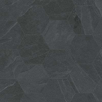 Satori Gios Graphite Hexagon 8-in x 10-in Matte Porcelain Floor and Wall Tile (0.44-sq. ft/ Piece) Lowes.com Black Hexagon Tile Bathroom, Dark Tile Floors, Tennessee Living, Hexagon Tile Bathroom, Tile Bathrooms, Black Hexagon Tile, Octagon Tile, Black Tile Bathrooms, Hexagon Floor