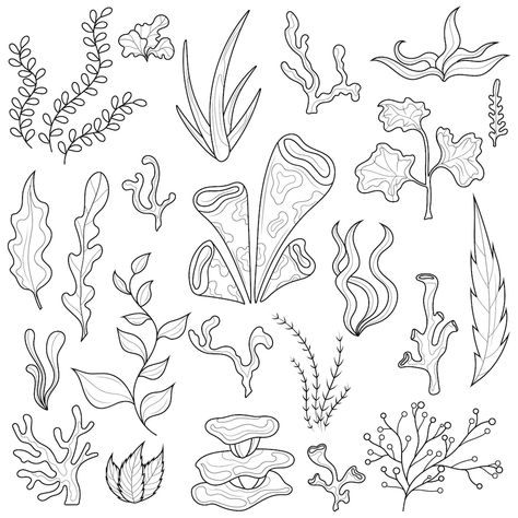 Sea Plant Drawing, Sea Weeds Diy, Sea Plants Illustration, Sea Kelp Drawing, Shipwreck Drawing Easy, Seaweed Tattoo Simple, Sea Flowers Drawing, Seaweed Line Drawing, Seaweed Drawing Simple