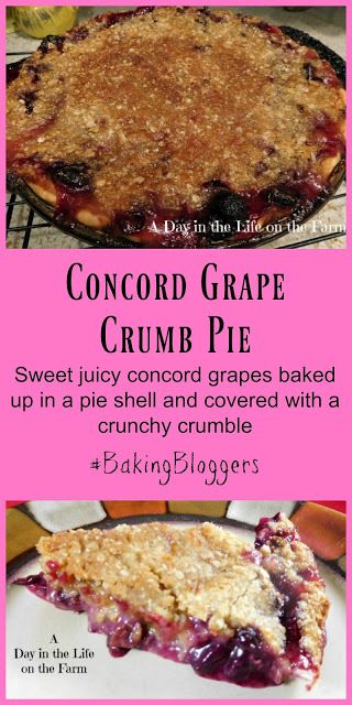 Concord Grape Pie Recipe, Things To Make With Concord Grapes, Desserts With Grape Jelly, Grape Jelly Desserts, Grape Pie Recipe Easy, Grape Deserts, Grape Pie Recipe, Grape Dessert Recipes, Concord Grape Pie