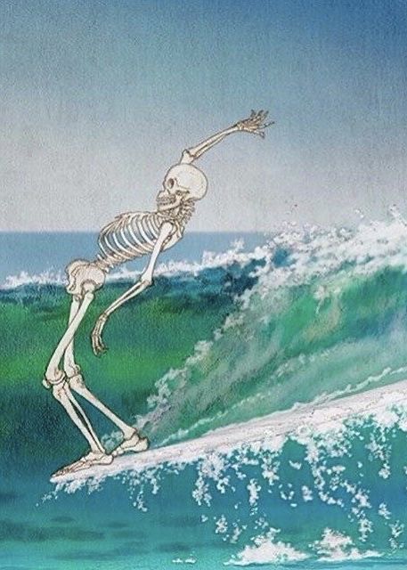 Surfer Aesthetic, Surf Aesthetic, Rock Aesthetic, Surf Vibes, Surf Poster, Picture Collage Wall, Vintage Surf, Photo Wall Collage, Ocean Creatures