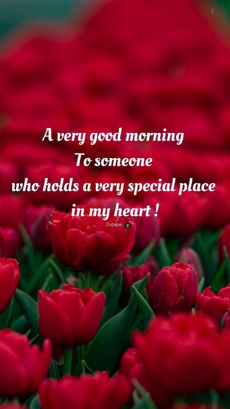 Love Good Morning Images Download, Good Morning My Sweetheart, Morning Babe, Happy Good Morning Images, Good Morning Msg, Sweetheart Quotes, Morning Sweetheart, Good Morning Greeting Cards, Good Morning Flowers Rose