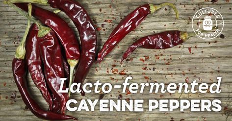 Lacto-fermented Cayenne Peppers Cayenne Pepper Recipes, Lacto Fermented, Healthy Probiotics, Fermentation Recipes, Fermented Vegetables, Probiotic Foods, Peppers Recipes, Fermented Foods, Fermenting