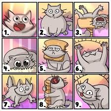 Homescapes on Instagram: “On a scale of the Cat, how are you feeling today? 🐈” What Cat Are You Today, On A Scale Of How Are You Feeling Today, On A Scale Of How Are You Feeling, How Do You Feel Today, How Are You Feeling Today, Mood Scale, Advanced English Grammar, Messenger Stickers, Abstract Art For Kids