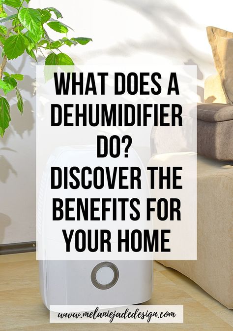 Having a dehumidifier at home can be incredibly beneficial to ensure a comfortable, healthy living space with humidity levels at an ideal level. But, what does a dehumidifier do? Dehumidifier In Laundry Room, Natural Dehumidifier, Humidistats, Dehumidifier Accessories, House In Winter, Jade Design, Room Cooler, Make A Room, Cooling Racks