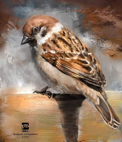 Sparrow Art, Arte Doodle, Diamond Paint, Cross Paintings, Bird Drawings, Cool Paintings, 5d Diamond Painting, Birds Painting, Large Canvas