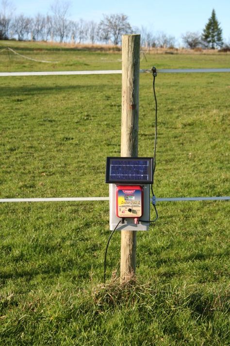 An Installed Electric Fence Charger Diy Electric Fence, Diy Horse Fencing, Solar Electric Fence, Rope Fence, Farming Tips, Fence Fabric, Pasture Fencing, Electric Fencing, Farm Hacks