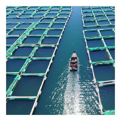 Aquaculture Fish Farming, Aquaculture Fish, Bird Netting, Construction Area, Black Packaging, Agriculture Farming, Buy Fish, Live Fish, Fish Farming