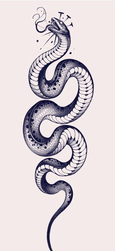 Black Snake Tattoo Design, Snake Drawing Tattoo, Snake Tattoo Drawing, Snake Tattoo Sketch, Snake Tattoo Stencil, Cobra Tattoo Design, Snake Drawings, Black Snake Tattoo, Snake Sketch