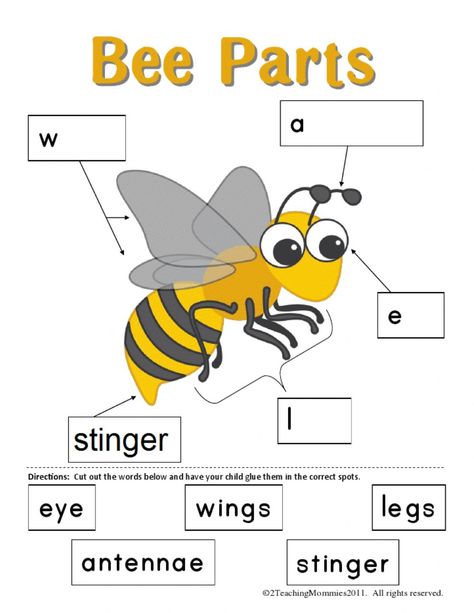 Project Bee online worksheet for Kinder 2C. You can do the exercises online or download the worksheet as pdf. Bees For Kids, Bee Project, Bee Life Cycle, Insect Unit, Bee Crafts For Kids, Insects Preschool, Bee Themed Classroom, Insect Activities, Bee Activities