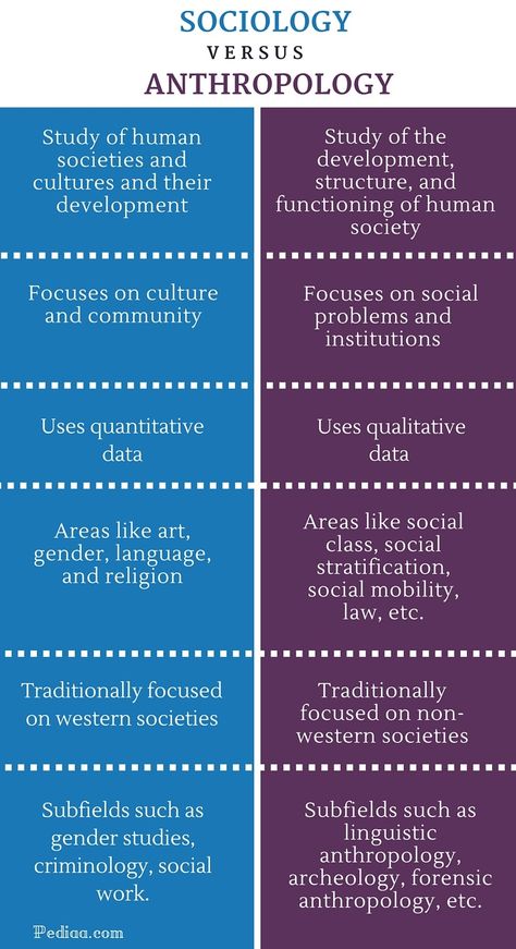 Difference Between Sociology and Anthropology- infographic Anthropology Infographic, Intro To Sociology, Sociology Aesthetic, Infographic Photography, Anthropology Aesthetic, Anthropology Degree, What Is Anthropology, Social Anthropology, Sociology Topics