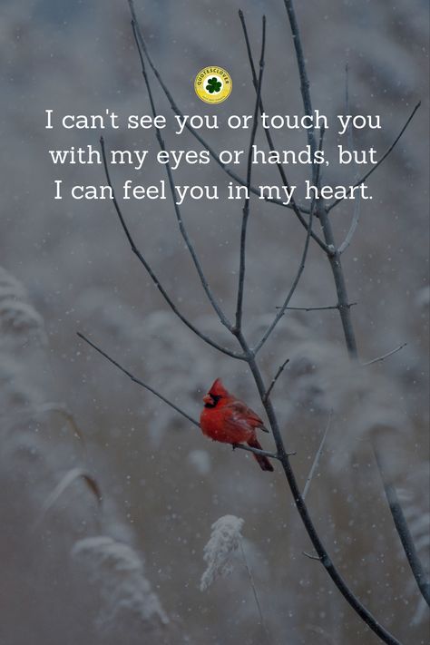 Til I See You Again Quotes, You Touched My Heart, You Stole My Heart Quotes, I Can Feel You, I Give You My Heart, Can You Feel My Heart, Love Quptes, Seeing You Quotes, Missing You Quotes For Him