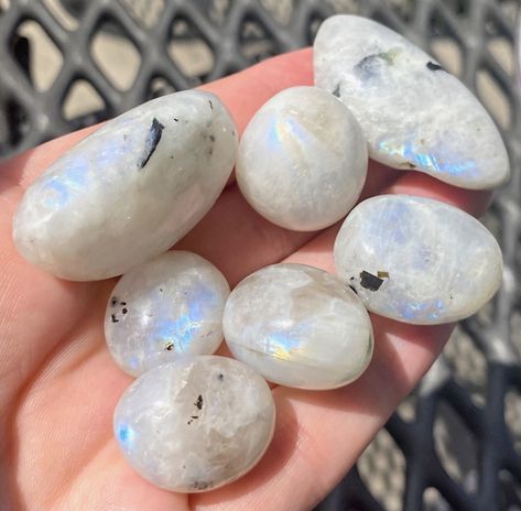 Moonstone Crystal Aesthetic, Moonstone Aesthetic, Moonstone Healing Properties, Crystal Seashells, Crystal Vibes, Charge Crystals, Crystal Aesthetic, Pretty Rocks, Moonstone Crystal